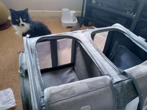Photo avis – Sac de transport chien extensible jusqu’à 35 kg – Oxford et mesh respirant