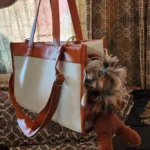 Sac De Transport Pour Chien Ours En Peluche photo review