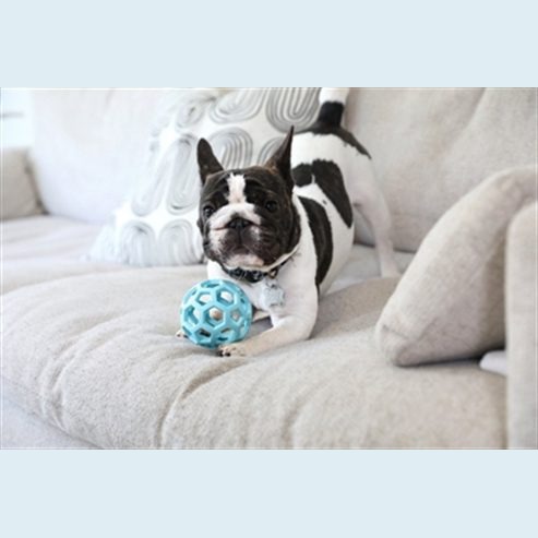 Balle puzzle chien hol-ee roller – photo 3
