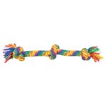 Corde chien colorée petit – photo 1