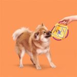 Frisbee chien kangourou corde – photo 2