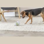 Jeu friandises chien roly poly œuf – photo 4