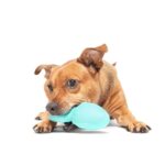 Jouet à mâcher chien calamar – photo 4