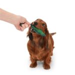 Jouet chien feuille nylon – photo 2