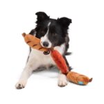 Jouet chien saucisses bungee – photo 2