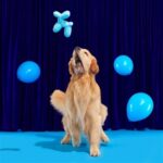 Jouet chien ballon caoutchouc vanille – photo 6
