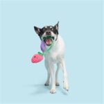 Peluche chien fraise – photo 3