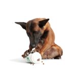Jouet chien gobelet café remplissable – photo 2