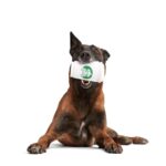 Jouet chien gobelet café remplissable – photo 3