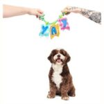 Jouet guirlande anniversaire chien – photo 2