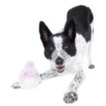 Jouet chien lapin oreilles caoutchouc – photo 4