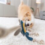 Jouet chien monstre cuir corde – photo 5