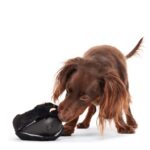 Jouet chien ours noir caoutchouc – photo 2