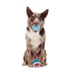 Jouet chien requin flottant – photo 2