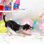 Jouet chien serpentin fête – photo 3