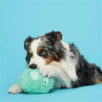 Jouet chien yéti vert menthe caoutchouc – photo 2