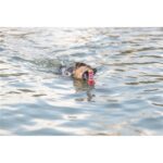 Jouet aquatique chien – photo 6