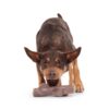 Jouet occupationnel chien – photo 4