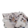 Jouet distributeur de croquettes pour chien – photo 5