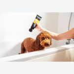 Lot brosse silicone et shampoing poil frisé pour chien Animology – photo 4