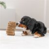 Cochon jouet pour chien – photo 7