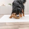 Cochon jouet pour chien – photo 8