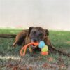 Jouet corde pour chien – photo 6