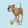 Jouet pour chien à mâcher – photo 5
