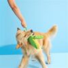 Jouet pour chien à mâcher – photo 6