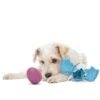 Jouet occupation chien – photo 5