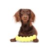 Jouet mastication chien – photo 4