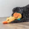Jouet intelligent pour chien – photo 6