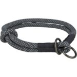 Collier et laisse pour chien – photo 2
