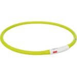 Collier lumineux chien – photo 2