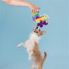 Jouet peluche chien – photo 6