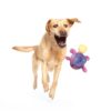 Balle rebondissante pour chien – photo 7