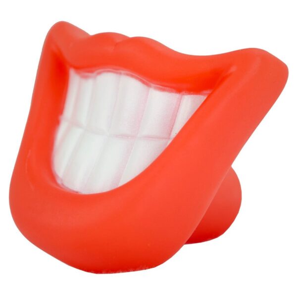 Lot panier Snuggle Pet Bed et jouet Funny Face pour chien – photo 4