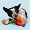 Jouet pour chien en corde – photo 7