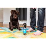 Lot shampoing chiot Animology Mucky Pup spray et Puppy Love – photo 2