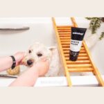 Lot shampooing chien Animology True Colours et White Wash – photo 4