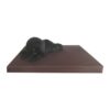 Matelas simili cuir chien – photo 1