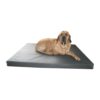 Matelas simili cuir chien – photo 2