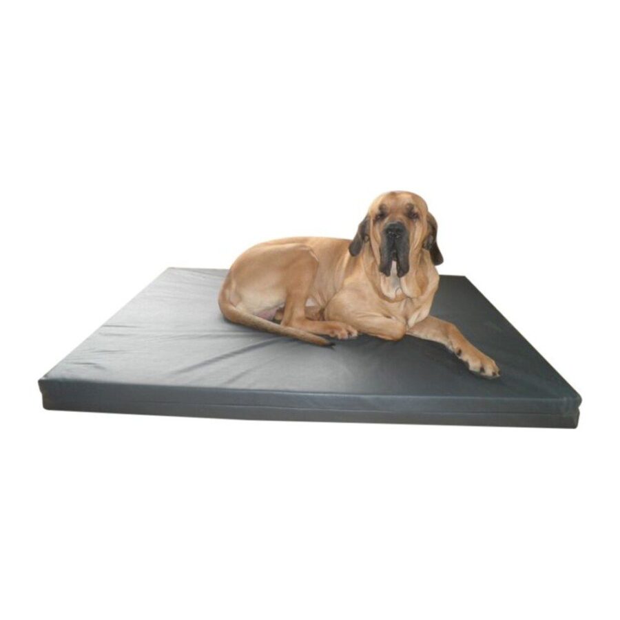 Matelas simili cuir chien – photo 2