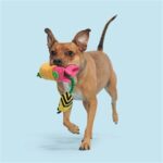 Peluche chien abeille pot de fleurs – photo 3