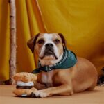Peluche chien guimauve smores – photo 3