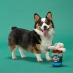 Peluche chien boîte de vers – photo 3