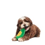 Peluche chien bouteille champagne – photo 5