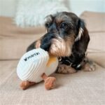 Peluche chien camembert – photo 4