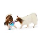 Peluche chien chapeau de fête élastique – photo 4