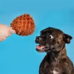 Peluche chien cuisse de dinde – photo 2